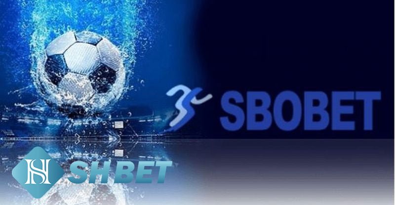 Sbobet - Nhà cái tiên phong hàng đầu
