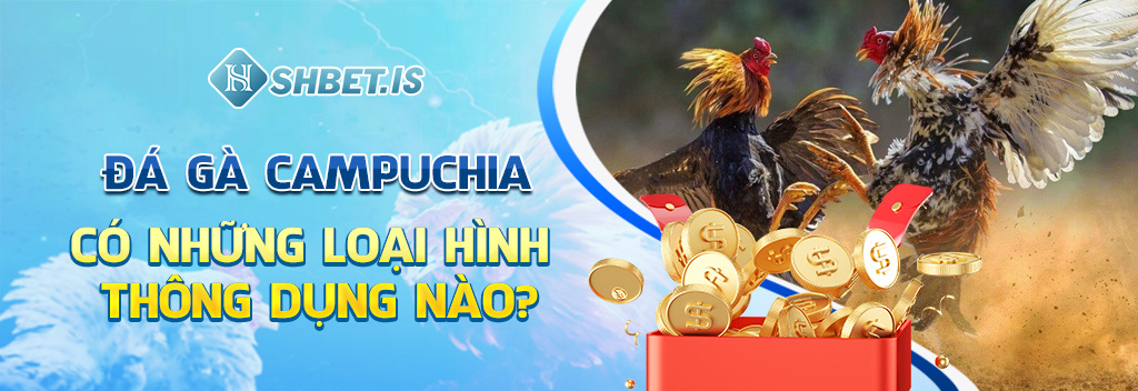 Đá gà Campuchia có những loại hình thông dụng nào?