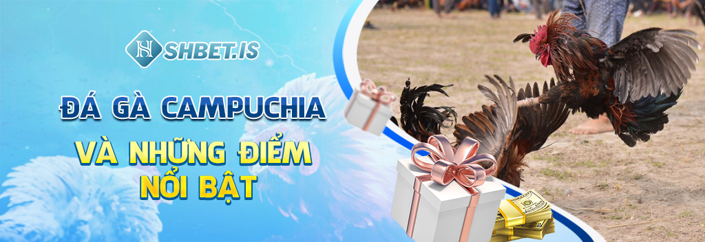Đá gà Campuchia và những điểm nổi bật