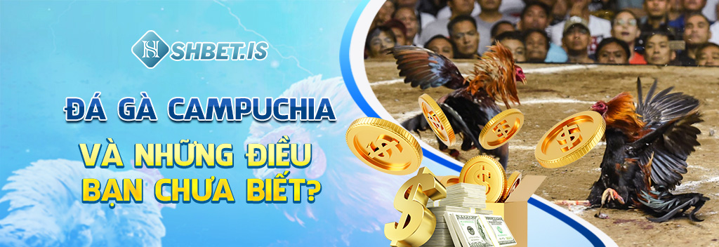 Đá gà Campuchia và những điều bạn chưa biết?