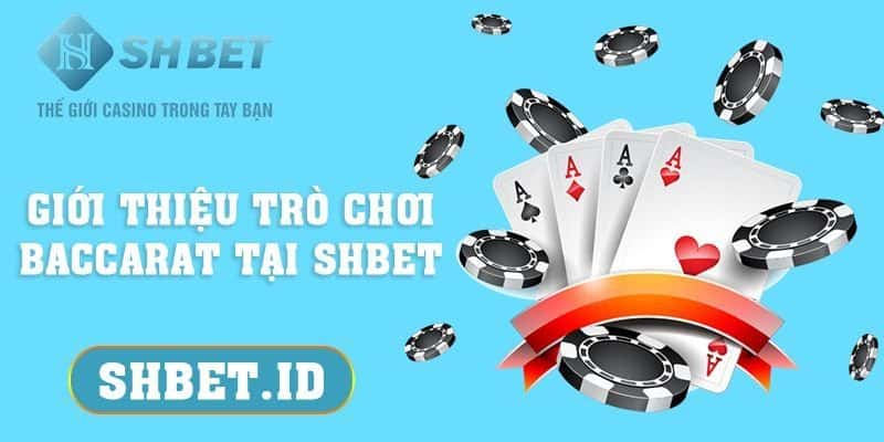 SHBET_Giới thiệu trò chơi Baccarat tại SHBET và mẹo đánh 2023