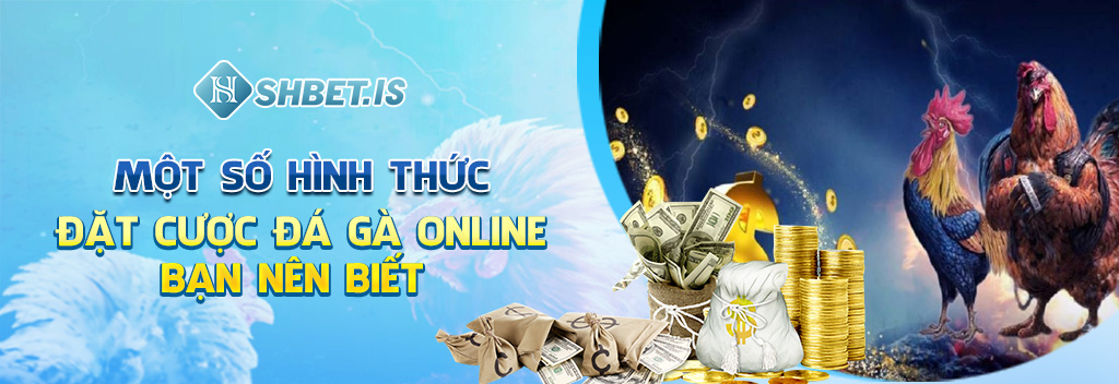Một số hình thức đặt cược đá gà online bạn nên biết