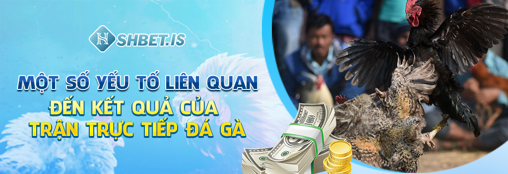 Một số yếu tố liên quan đến kết quả của trận trực tiếp đá gà