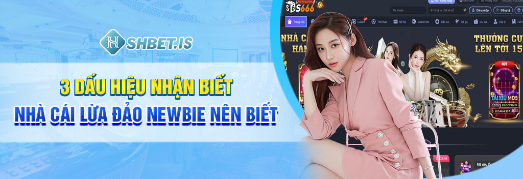 3 dấu hiệu nhận biết nhà cái lừa đảo newbie nên biết

