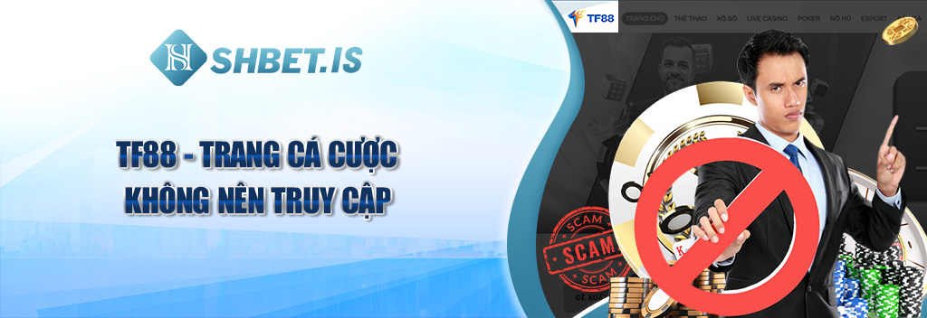 TF88 - trang cá cược không nên truy cập
