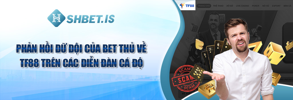 Phản hồi dữ dội của bet thủ về TF88 trên các diễn đàn cá độ
