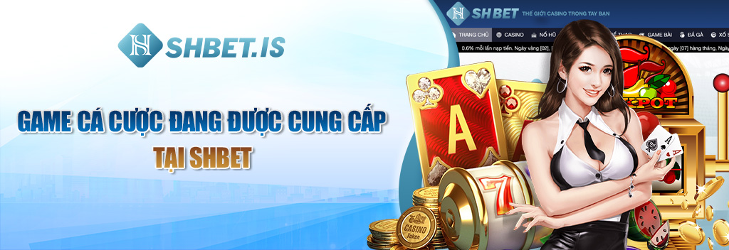 Game cá cược đang được cung cấp tại SHBET